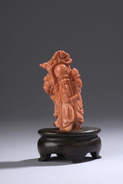 null Orange-red coral statuette* showing Shoulao standing with peaches of longevity...