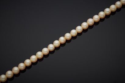 Necklace of cultured pearls, without clasp....