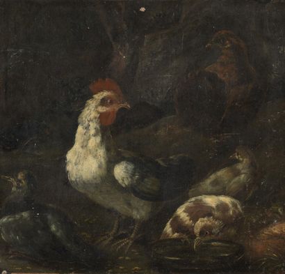 null 18th century ITALIAN school

Poultry in a farmyard

Canvas mounted on panel

40...