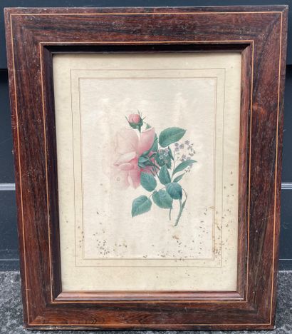 null School of the XIXth century

Roses, 1841

Watercolor.

Monogrammed and dated...