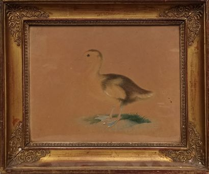 Lot including 3 city views in watercolor or pencil. 
A drawing representing a duckling...