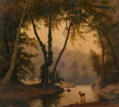 FRENCH SCHOOL circa 1850

Fawn at the river

Oil...