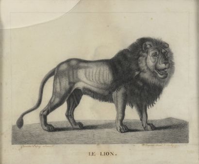  Stanislas LAFORGE (19th century) 
The panther and the lion 
Pair of pencils. 
Titled,...
