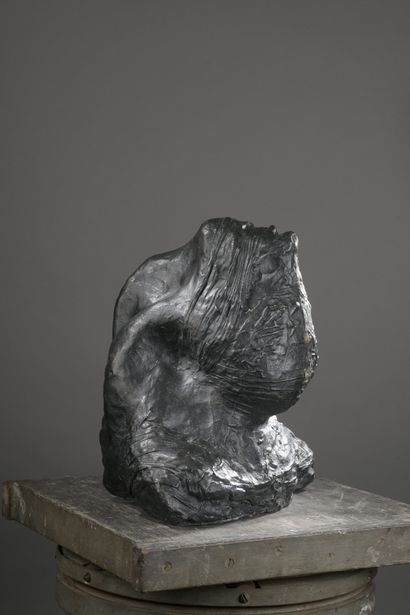 null Michel WARREN (1930-1975)

Head with blindfolded eyes

Bronze proof.

Cast by...