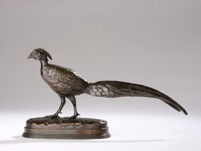 Alphonse Jules CONTOUR (1811-1888) 
Pheasant...
