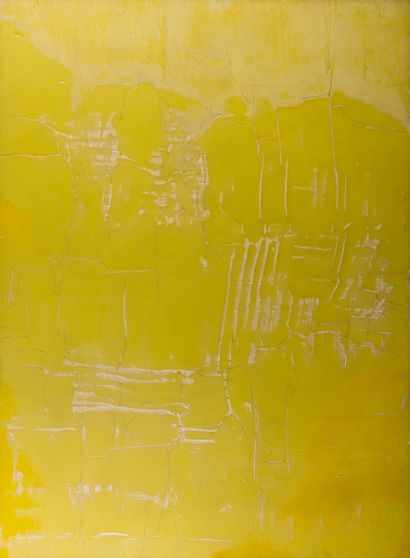 null Jean-Pierre BERTRAND (1937-2016)

Yellow Green no I, 2000

Mixed media on Plexiglas,...