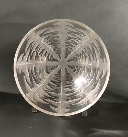 null Lot including : 


- R. LALIQUE FRANCE


6 pressed moulded glass dishes with...