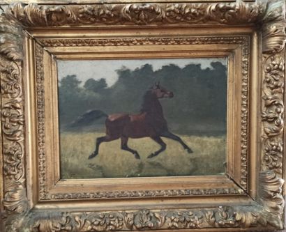 Charles Édouard FRERE (1837-1894)


Galloping...