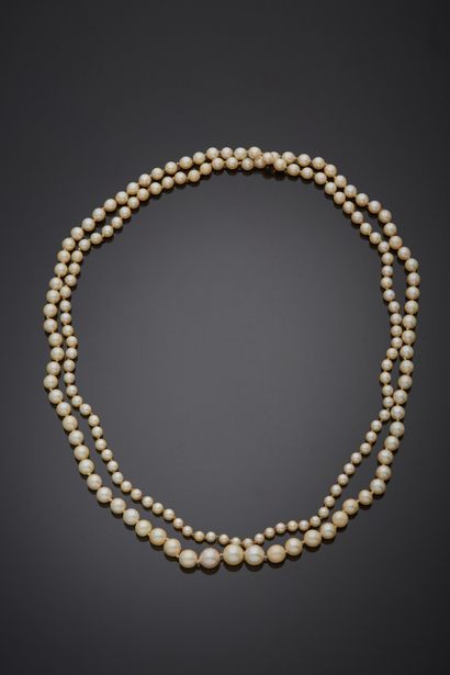 null Long necklace of cultured pearls in fall, mounted on wire with knots, without...