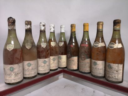 null 9 bouteilles BOURGOGNE BLANC 1950 et 1959 A VENDRE EN L'ETAT 

REMOISSENET et...