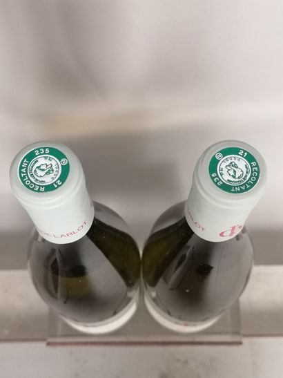 null 2 bouteilles NUITS St. GEORGES 1er cru "Clos de L'ARLOT" blanc - Domaine de...