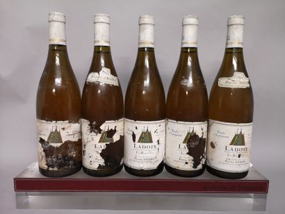 null 5 bouteilles LADOIX "Les Boisvelles" - Domaine Pierre André 1994 

Étiquettes...