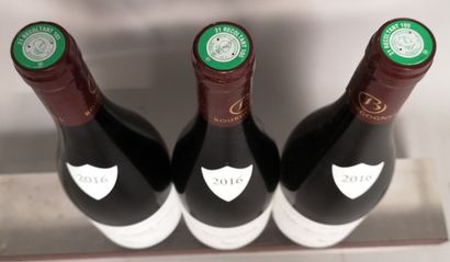 null 3 bouteilles NUITS SAINT GEORGES "Les Vaucrains" - Domaine de La POULETTE 2...