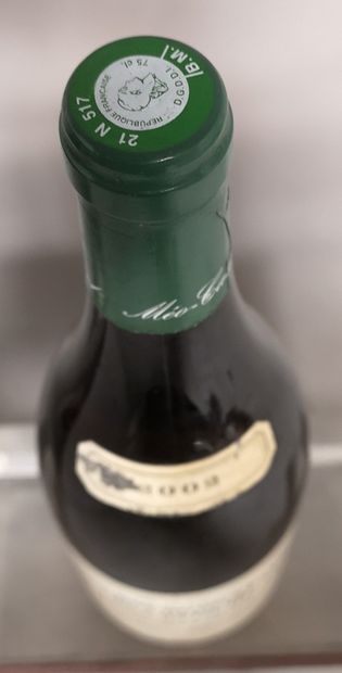 null 1 bottle HAUTES COTES DE NUITS "Clos Saint Philibert" - MEO CAMUZET 2002 

Label...