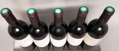 null 5 bouteilles Château SAUDINANT - Médoc 1998 

Étiquettes légèrement tachées....