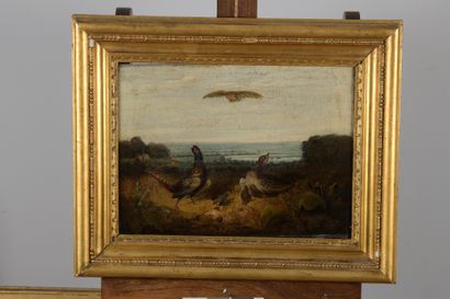  Flemish school of the 18th century 
Pheasants in a landscape 
Canvas. 
Restorations....