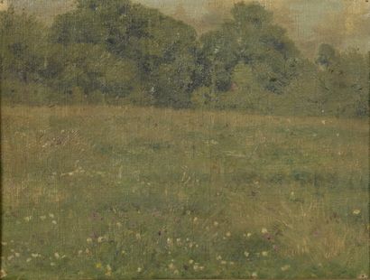  Attributed to Marie DIETERLE (1856-1935) 
The flowered field 
Oil on canvas mounted...