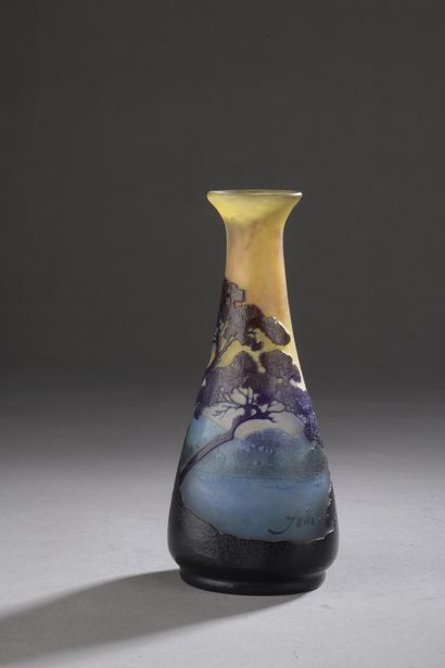 null GALLÉ Emile (establishments)

VASE piriform with flared neck. Proof of industrial...