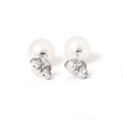 null Tiffany's & Co

Pair of 18K white gold stud earrings each holding a pearl.

Signed...