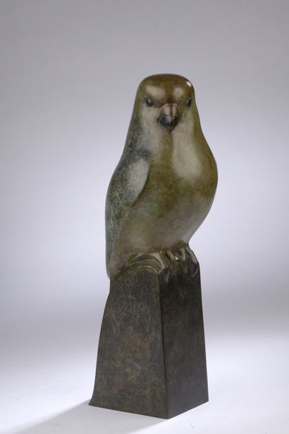  François Galoyer (1944) 
Parakeet 
Green patina with speckles 
Lost wax casting...