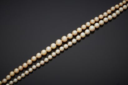 null Two necklaces of falling cultured pearls, 18K yellow gold 750‰ clasps and safety...