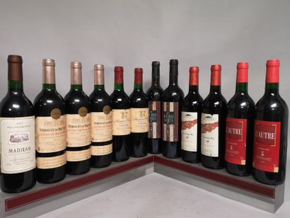 12 bottles SUD OUEST various of which MADIRAN,...