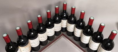 null 12 bouteilles Château MOULIN DE JORDI - Moulis en Médoc 2005 

Étiquettes légèrement...