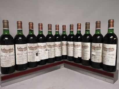 null 12 bouteilles Château BEAU SITE - Saint Estèphe - 1978

Etiquettes tachées et...