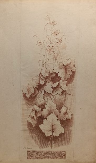 null After Gilles Paul CAUVET (1731-1788)

Leaves of the vine

Sanguine engraving.

51...