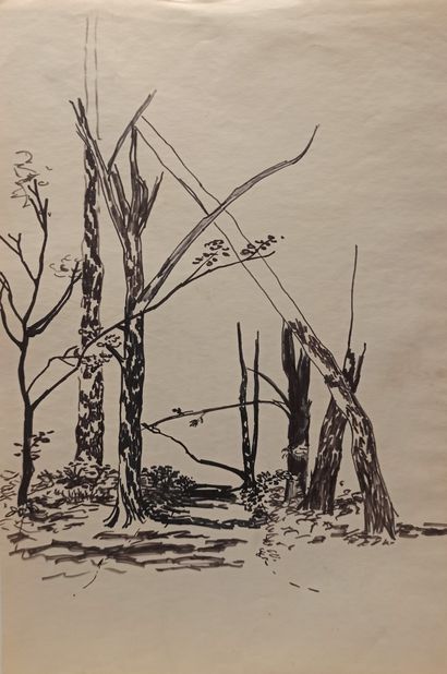 null Wilhelm LAAGE (1868-1930)

Set of five drawings: 

- Oppede, 1963, felt pen...