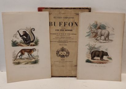 null Lot including : 

- Complete works of Buffon - 27 lithographed plates on animals...