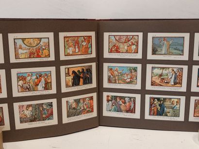 null Lot including : 

- Complete works of Buffon - 27 lithographed plates on animals...