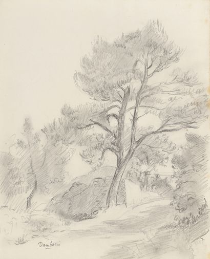 null Marcel DAMBOISE (1903-1992)

Lot of two drawings :



- PATH AMONG THE PINES...