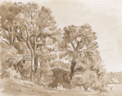 null Marcel DAMBOISE (1903-1992)

Lot of two drawings :



- THE ASPEN TREES AT THE...