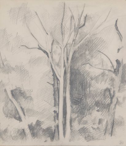 null Félix SCHIVO (1924-2006)

STUDY OF TREES, 1961

Lead pencil

Monogrammed and...