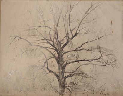 null Maurice MAZO (1901-1989)

Study of a tree

1931

Pencil

Signed and dated (lower...