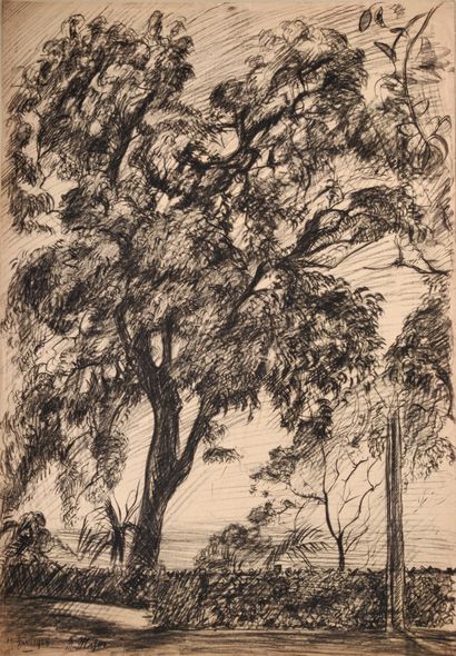 Maurice MAZO (1901-1989) 
Leafy tree in a...