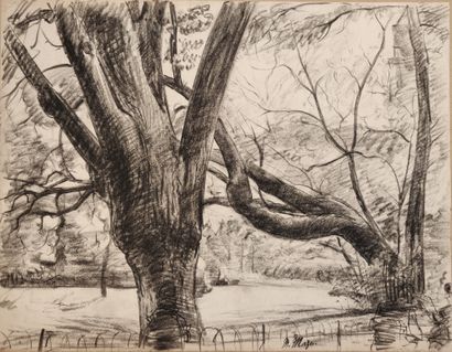 null Maurice MAZO (1901-1989)

Etude d’arbres au jardin du Luxembourg

Fusain

Cachet...