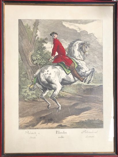 null D'après Johann Elias RIDINGER (1698-1767)

Le dressage 

Suite de huit gravures...