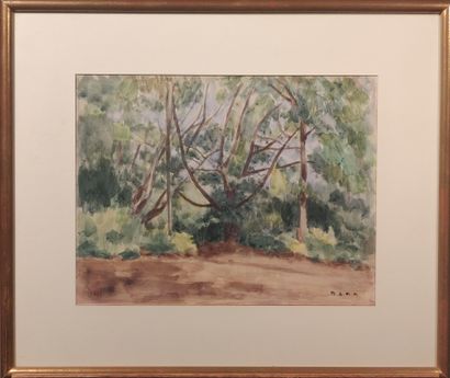 null BENN (1905-1989)

The undergrowth, 1971

Watercolor on paper. 

Signed lower...