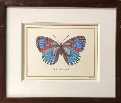 null Suite de six gravures de papillons encadrés, certaines rehaussées

13 x 17 cm...