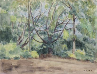 BENN (1905-1989)

The undergrowth, 1971

Watercolor...