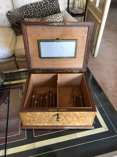 null Cigar cabinet in maple burr veneer and dark wood fillets

Restoration perio...