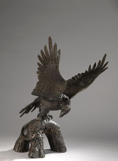 School of the XIXth century 

Eagle with...