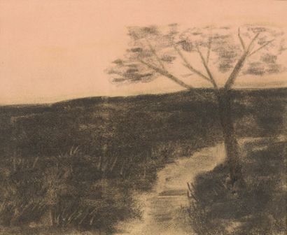 null Symbolist school 

The tree by the river 

Charcoal on pink paper. 

20 x 24...