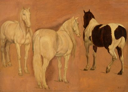 null School of the beginning of the XXth century 

Study of horses 

Oil on paper...