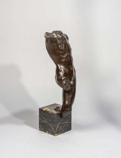 null Alfredo PINA (1883-1966) 

Torse, vers 1940 

Bronze à patine brune. 

Signé...
