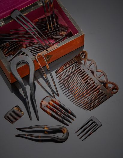 null Set of pins and combs in tortoiseshell and synthetic materials