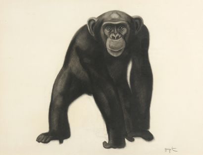 null Georges Lucien GUYOT (1885-1973)

Chimpanzee 

Charcoal on paper. 

Signed lower...