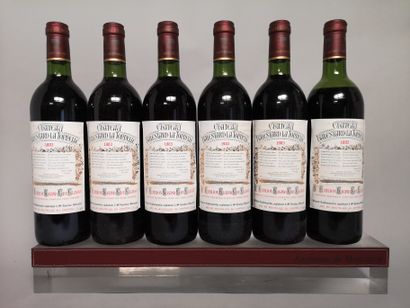 6 bouteilles CHÂTEAU BALESTARD LA TONNELLE...